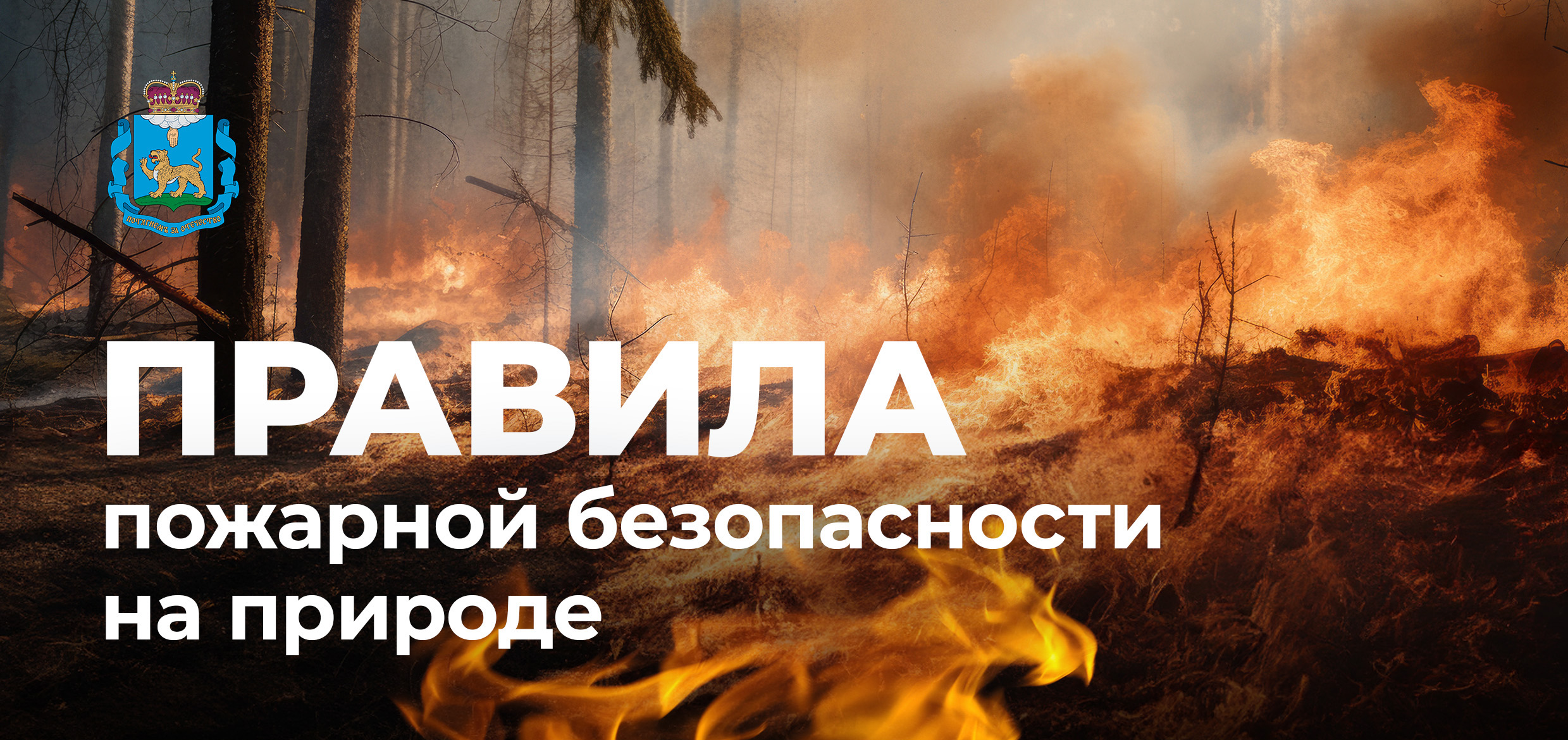 Специалисты МЧС России напоминают о правилах поведения на природе в пожароопасный период..