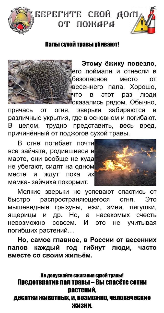 Противопожарная безопасность.