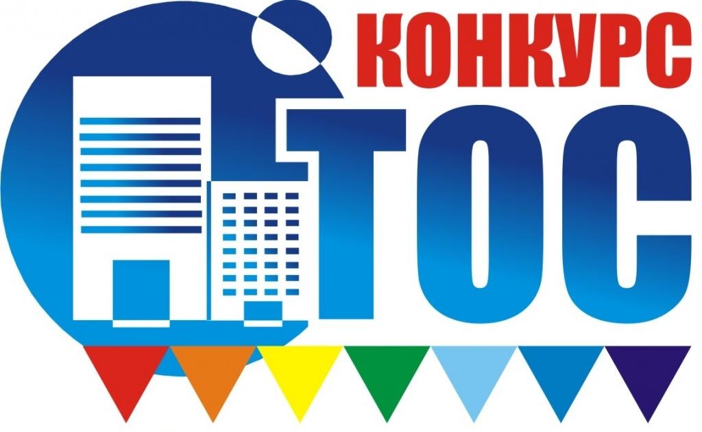 Проекты ТОСов городского поселения &quot;Плюсса&quot;.