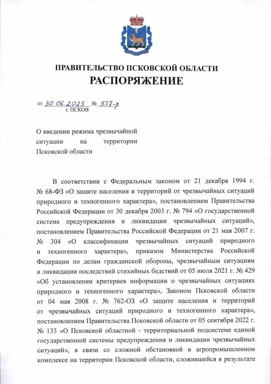 Введение чс.