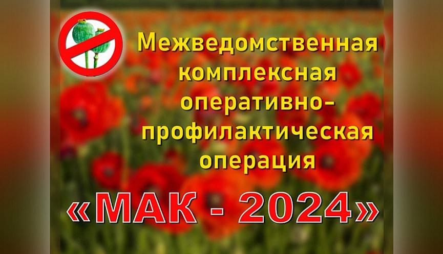 2 этап оперативно-профилактической операции &quot;Мак-2024&quot;.